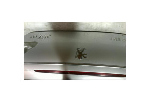 Malle/Hayon arriere PEUGEOT 307 Photo n°4
