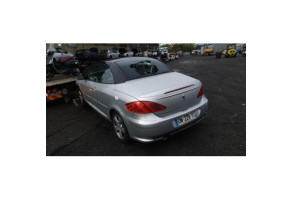 Malle/Hayon arriere PEUGEOT 307 Photo n°11