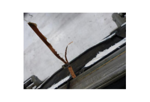 Malle/Hayon arriere BMW SERIE 5 E61 Photo n°4