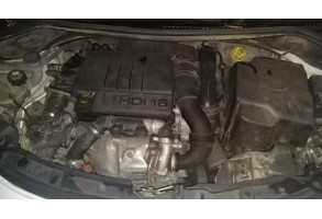 Leve vitre electrique avant droit PEUGEOT 207 Photo n°13