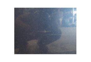 Porte arriere gauche MERCEDES CLASSE B 245 Photo n°4