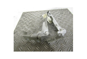 Charniere de capot RENAULT CLIO 2 Photo n°1