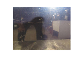 Porte avant droit MERCEDES CLASSE CLK 208 Photo n°5