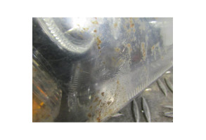 Optique avant principal droit (feux)(phare) FORD FOCUS 2 Photo n°1