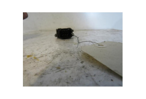 Interrupteur de leve vitre avant droit RENAULT CLIO 3 Photo n°2