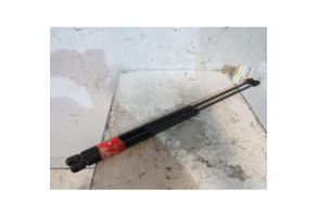 Verin de coffre VOLKSWAGEN NEW BEETLE 1 Photo n°1