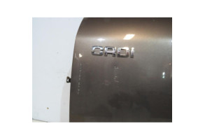 Porte avant gauche HYUNDAI SANTA FE 1 Photo n°4