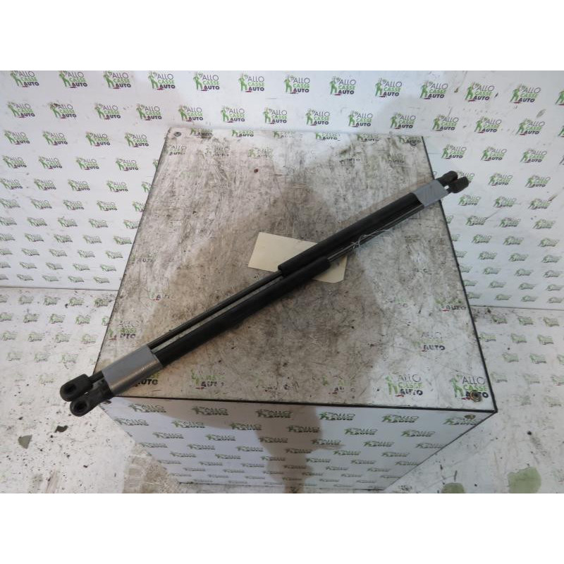 Verin de coffre FORD C-MAX 1 Photo n°1