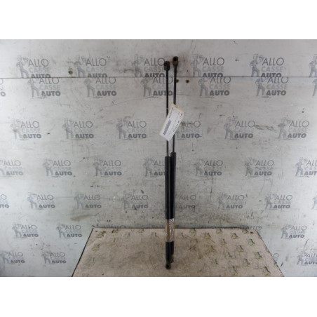 Verin de coffre RENAULT MEGANE 3