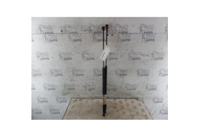 Verin de coffre RENAULT MEGANE 3 Photo n°1