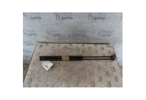 Verin de coffre PEUGEOT 1007 Photo n°1