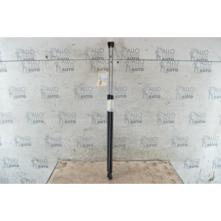 Verin de coffre PEUGEOT PARTNER 1