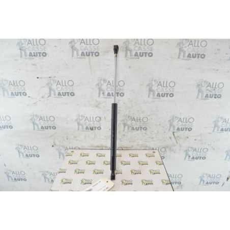 Verin de coffre RENAULT TWINGO 1