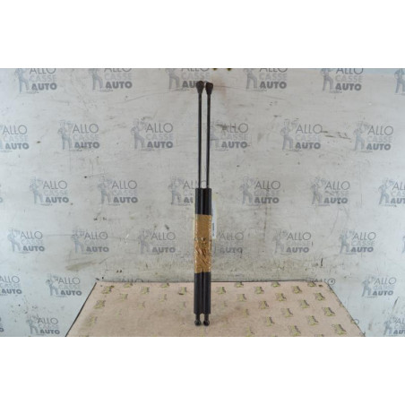 Verin de coffre RENAULT SAFRANE