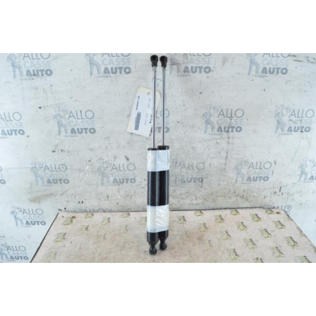 Verin de coffre RENAULT VEL SATIS