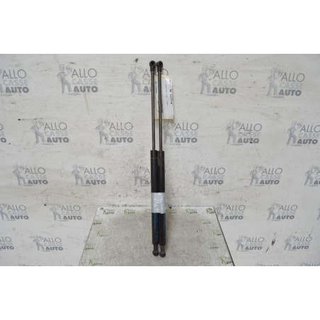 Verin de coffre FIAT PANDA 2