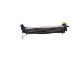 Echangeur air (Intercooler) RENAULT SCENIC 3 Photo n°1