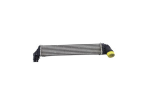Echangeur air (Intercooler) RENAULT SCENIC 3 Photo n°5