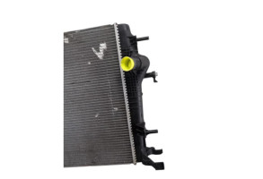 Radiateur eau RENAULT SCENIC 3 Photo n°3