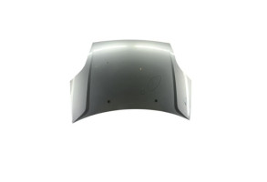 Capot FORD FIESTA 5 Photo n°1