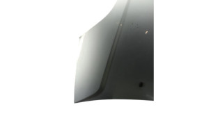 Capot FORD FIESTA 5 Photo n°3