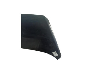 Capot KIA VENGA Photo n°5