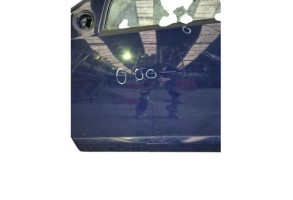 Porte avant gauche DACIA SANDERO 1 Photo n°2