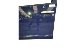 Porte avant gauche DACIA SANDERO 1 Photo n°3