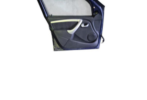Porte avant gauche DACIA SANDERO 1 Photo n°6