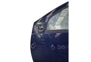 Porte avant gauche DACIA SANDERO 1 Photo n°10