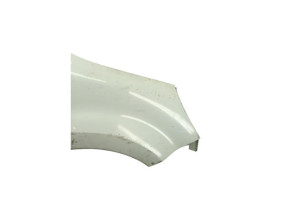 Aile avant droit RENAULT MODUS Photo n°5