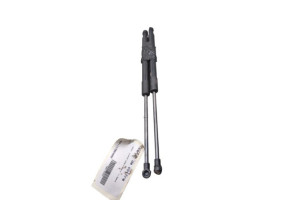 Verin de coffre RENAULT TWINGO 2 Photo n°1