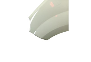 Aile avant gauche RENAULT TWINGO 2 Photo n°2