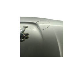 Capot PEUGEOT 508 1 SW Photo n°1