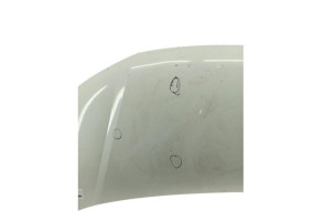 Capot VOLKSWAGEN TRANSPORTER 5 Photo n°1