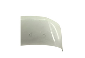 Capot VOLKSWAGEN TRANSPORTER 5 Photo n°5