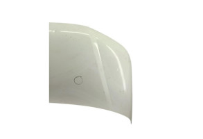 Capot VOLKSWAGEN TRANSPORTER 5 Photo n°8