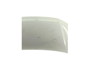 Capot VOLKSWAGEN TRANSPORTER 5 Photo n°10