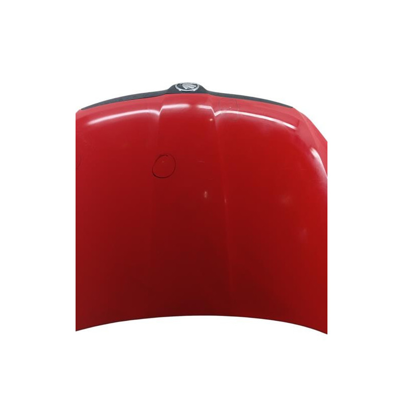 Capot SKODA FABIA 2 Photo n°1