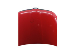 Capot SKODA FABIA 2 Photo n°1