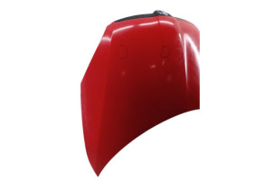 Capot SKODA FABIA 2 Photo n°5