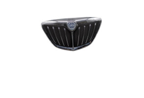 Calandre LANCIA MUSA Photo n°5