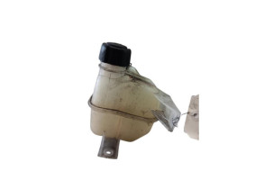 Vase d'expansion RENAULT KOLEOS 1 Photo n°6