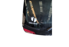 Malle/Hayon arriere RENAULT KOLEOS 1 Photo n°8