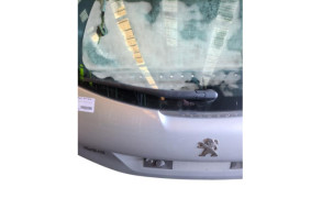 Malle/Hayon arriere PEUGEOT 208 1 Photo n°9