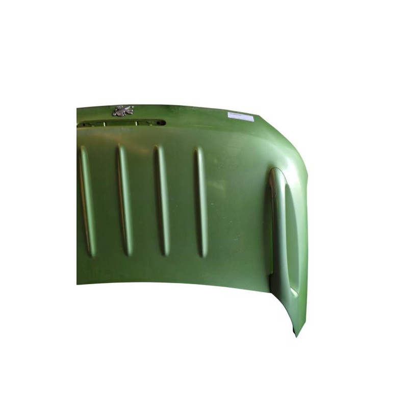 Malle/Hayon arriere PEUGEOT 206 Photo n°1