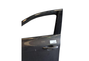 Porte avant gauche RENAULT TALISMAN Photo n°7