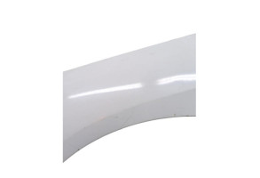 Aile avant gauche PEUGEOT 407 Photo n°4