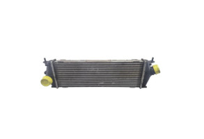 Echangeur air (Intercooler) RENAULT TRAFIC 2 Photo n°1