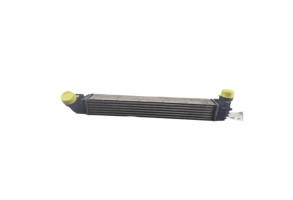 Echangeur air (Intercooler) RENAULT SCENIC 3 Photo n°4